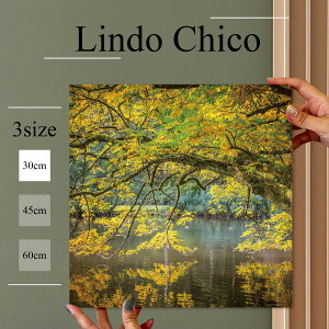 yubNtCf[ 10%OFF 11/20 20:00`11/27 01:59܂ŁIzCeA G  A[gpl G i Ǌ| iF ʐ^ R   Δ A  r gt k fUC t@u