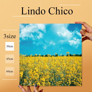 CeA G  A[gpl G i Ǌ| iF ʐ^ R  ؂̉ Ԕ A t[ ԕ k fUC A[g Ǐ ` t@ubNplLindo Chico 30cm×30cm A