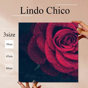 yX[p[Z[Ԍ聦 10%OFFN[||Cg{IzCeA G  G Ǌ| A[gpl Ǌ| t[ KN [Y ԕ A I R  k 