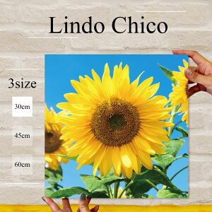 y10%OFF XԌ聦 11/5 18:00`11/16 23:59܂ŁIzCeA G  G Ǌ| A[gpl t[  Ԃт ԕ A Ђ܂ 킢 R k fUC A[g 