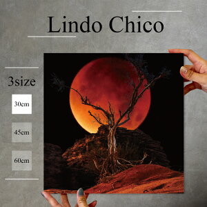 y10%OFF XԌ聦 11/5 18:00`11/16 23:59܂ŁIzCeA G  G Ǌ| A[gpl i Ǌ| iF ʐ^ R     ͂ [ r k fUC A