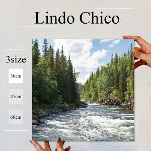 y10%OFF XԌ聦 11/5 18:00`11/16 23:59܂ŁIzCeA G  G Ǌ| A[gpl i Ǌ| iF ʐ^ R  ͐ X k  kJ A k fUC t@