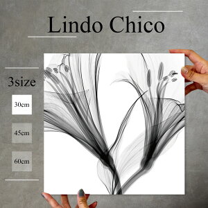 CeA G  A[gpl Ǌ|  t[ Ԃт ԕ A mN mg[   k fUC t@ubN Ǐ ` t@ubNplLindo Chico 