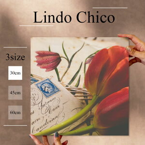 CeA G  A[gpl Ǌ|  t[ Ԃт ԕ A `[bv  莆 ʐ^ k fUC A[g Ǐ ` t@ubNplLindo Chico 30cm×30cm A[g