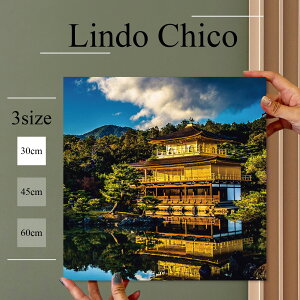 CeA G  A[gpl Ǌ| a a a { t s Βr  EY k fUC t@ubN Ǐ ` t@ubNplLindo Chico 30cm×30cm A[