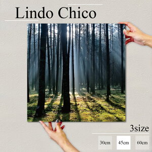 y10%OFF XԌ聦 11/5 18:00`11/16 23:59܂ŁIzCeA G  G Ǌ| A[gpl i iF ʐ^ R  X X ؘR   k fUC t@ubN 