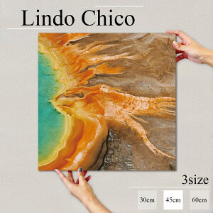 yubNtCf[ 10%OFF 11/20 20:00`11/27 01:59܂ŁIzCeA G  G Ǌ| A[gpl i iF ʐ^ R CG[Xg[ Ԍ AJ k fUC t@