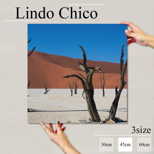 y10%OFF XԌ聦 11/5 18:00`11/16 23:59܂ŁIzCeA G  G Ǌ| A[gpl i iF ʐ^ R   ΂ n u ͂ k fUC A[g Ǐ