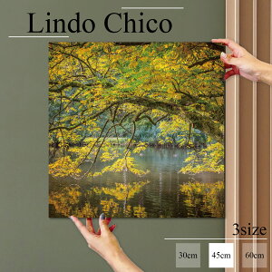 CeA G  G Ǌ| A[gpl i iF ʐ^ R   Δ A  r gt k fUC t@ubN Ǐ ` t@ubNplLindo Chico 45cm×45cm A