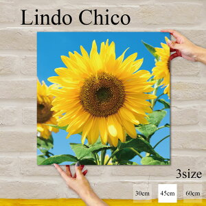 CeA G  A[gpl Ǌ|  t[  Ԃт ԕ A Ђ܂ 킢 R k fUC A[g Ǐ ` t@ubNplLindo Chico 45cm×45cm A[g