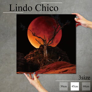 y10%OFF XԌ聦 11/5 18:00`11/16 23:59܂ŁIzCeA G  A[gpl Ǌ| i iF ʐ^ R     ͂ [ r k fUC A[g Ǐ 