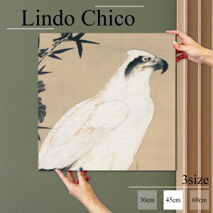 CeA G  A[gpl Ǌ| a a a a { h V G G  k fUC t@ubN Ǐ ` t@ubNplLindo Chico 45cm×45cm A[