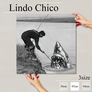 CeA G  A[gpl G mN mg[ Ǌ|   VbN T L ނ pfB k fUC A[g Ǐ ` t@ubNplLindo Chico 45