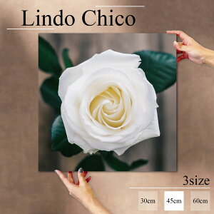 �y�I�労�ӍՂƓ����J�ÁI�����芄���N�[�|�����聦�z�C���e���A �G�� ������� �A�[�g�p�l�� �G�� �� �Ǌ|�� �t�����[ �K�N ���[�Y �ԕ� �A�� �o�� �Y�� ���킢�� �k�� �f�U�C�� �A�[�g ��