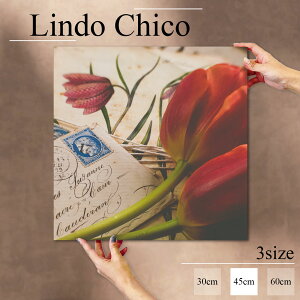 CeA G  A[gpl G  Ǌ| t[ Ԃт ԕ A `[bv  莆 ʐ^ k fUC A[g Ǐ ` t@ubNplLindo Chico 45cm×45cm A