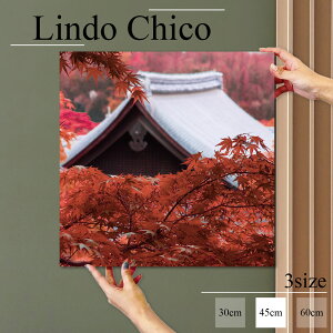 CeA G  A[gpl G a Ǌ| a a a { ݂ gt A ʐ^ i z k fUC A[g Ǐ ` t@ubNplLindo Chico 45cm×45cm A