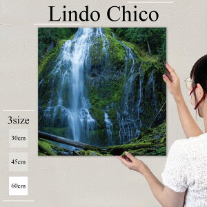 y3Ԍ聦 X |Cg10{I11/29`12/1܂ŁIzCeA G  A[gpl Ǌ| i iF ʐ^ R    X C AJ k fUC A[g 