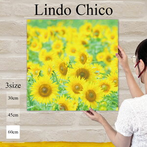 y10%OFF XԌ聦 11/5 18:00`11/16 23:59܂ŁIzCeA G  G Ǌ| A[gpl t[  Ԃт ԕ A Ђ܂ Ԕ 킢 k fUC A[g 