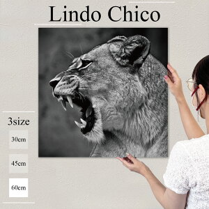 CeA G  G Ǌ| A[gpl mN mg[   VbN CI  쐶 k fUC A[g Ǐ ` t@ubNplLindo Chico 60cm×