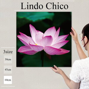 CeA G  G Ǌ| A[gpl  t[ ԕ A @ nX @̉ sN N₩ R k fUC A[g Ǐ ` t@ubNplLindo Chico 60cm×60cm A