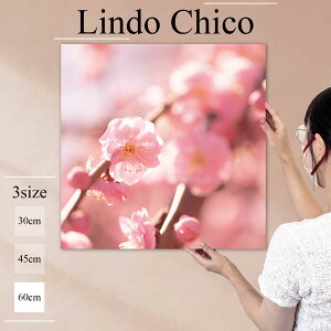 CeA G  G Ǌ| A[gpl  t[ Ԃт ԕ A ~ E ԕ 킢 Ԍ k fUC t@ubN Ǐ ` t@ubNplLindo Chico 60cm×6