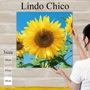 y10%OFF XԌ聦 11/5 18:00`11/16 23:59܂ŁIzCeA G  G Ǌ| A[gpl  t[  Ԃт ԕ A Ђ܂ 킢 R k fUC A[g 