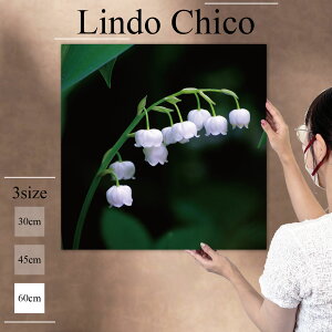 CeA G  G Ǌ| A[gpl  t[  ԕ A 闖  킢 R k fUC t@ubN Ǐ ` t@ubNplLindo Chico 60cm×60