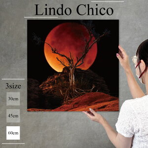 y10%OFF XԌ聦 11/5 18:00`11/16 23:59܂ŁIzCeA G  G Ǌ| A[gpl i iF ʐ^ R     ͂ [ r k fUC A[g 