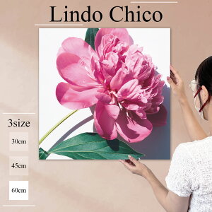 CeA G  A[gpl G  Ǌ| t[  Ԃт ԕ A sN 킢 k fUC A[g Ǐ ` t@ubNplLindo Chico 60cm×60cm A[g{