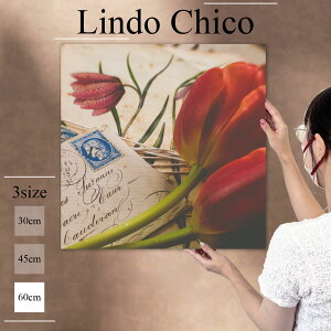 CeA G  A[gpl G  Ǌ| t[ Ԃт ԕ A `[bv  莆 ʐ^ k fUC A[g Ǐ ` t@ubNplLindo Chico 60cm×60cm A