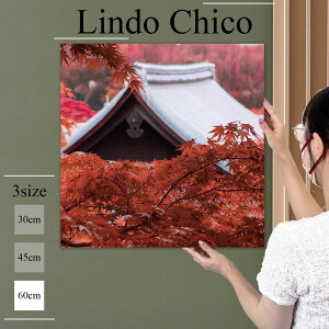 CeA G  A[gpl G a Ǌ| a a a { ݂ gt A ʐ^ i z k fUC A[g Ǐ ` t@ubNplLindo Chico 60cm×60cm A