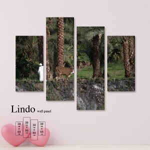 y3Ԍ聦 X |Cg10{I11/29`12/1܂ŁIzCeA A[g  G Ǌ| A[gpl 4 ZbgVq R i iF X l   Aj} k fU