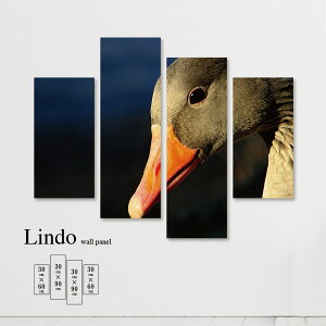 yubNtCf[ 10%OFF 11/20 20:00`11/27 01:59܂ŁIzCeA A[g  G Ǌ| A[gpl 4 Zbg Aj}  A R J  k fUC t@u