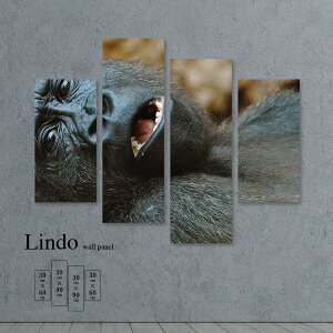 y10%OFF XԌ聦 10/25 00:00`10/30 23:59܂ŁIzCeA A[g  G Ǌ| A[gpl 4 Zbg Aj}  A R S }Ee k fUC t