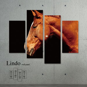 CeA A[g  G Ǌ| A[gpl 4 Zbg Aj}  A R n  k fUC t@ubN t@ubNpl Ǐ EH[A[g A