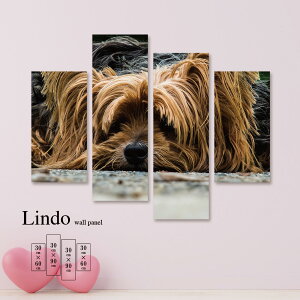 CeA A[g  G Ǌ| A[gpl 4 Zbg Aj}  A R  [NVeA k fUC A[g t@ubNpl Ǐ EH[A[g A