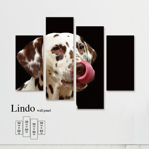 CeA A[g  G Ǌ| A[gpl 4 Zbg Aj}  A R  _VA k fUC t@ubN t@ubNpl Ǐ EH[A[g 