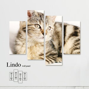 y10%OFF XԌ聦 10/25 00:00`10/30 23:59܂ŁIzCeA A[g  G Ǌ| A[gpl 4 Zbg Aj}  A R L 킢 k fUC A[g t