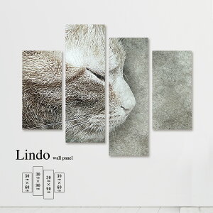 CeA A[g  G Ǌ| A[gpl 4 Zbg Aj}  A R L lR Q 킢 k fUC t@ubN t@ubNpl Ǐ EH[A