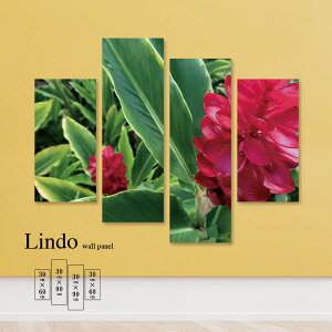 y10%OFF XԌ聦 10/25 00:00`10/30 23:59܂ŁIzCeA A[g  G Ǌ| A[gpl 4 Zbg t[ K[f R A [t gsJ i` k 