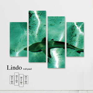 yX[p[Z[Ԍ聦 10%OFFN[||Cg{IzCeA A[g  G Ǌ| A[gpl 4 ZbgC C C   R iF  T V[N 