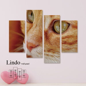 【※10%OFF 当店期間限定※ 10/25 00:00〜10/30 23:59まで!】インテリア アート おしゃれ 絵画 壁掛け アートパネル 4枚 セット動物 アニマル 実写 リアル 自然 ネコ 猫 かわいい 北欧 デザイン アー