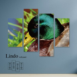 yubNtCf[ 10%OFF 11/20 20:00`11/27 01:59܂ŁIzCeA A[g  G Ǌ| A[gpl 4 Zbg Aj}  A R J   k fUC A[