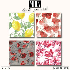 ؍ CeA G  A[gpl _  t[ A G G ʉ A[g |p  EG F CG[ VbN PV̉ |s[ M C  Vv lC  