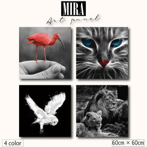 CeA G  Ǌ| A[gpl _   mg[  mN VbN A[g t~S L tNE CI eq A[g i gh  pl