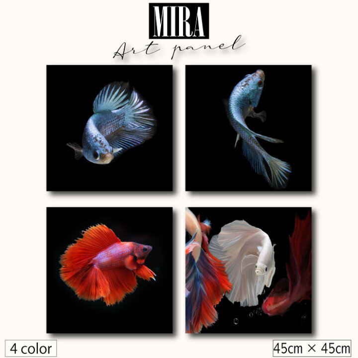 楽天市場 アートパネル モダン 北欧 生き物 動物魚 熱帯魚 ベタ 美しい 大人 シック シンプル ブラック 背景 イラスト 写真 エレガント 高級 個性的 人気ファブリックパネル 人気 玄関 おしゃれ 壁掛け 韓国インテリア 韓 Mic楽天市場店
