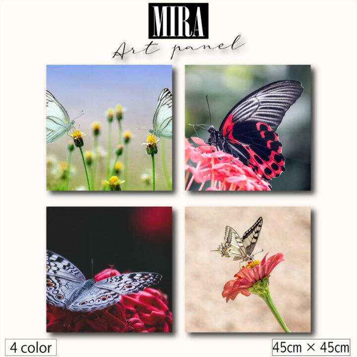 楽天市場 アートパネル モダン 北欧 生き物 動物蝶 花 フラワー ちょうちょ アゲハチョウ 昆虫 エレガント 蜜 写真 自然 美しい フォト 植物 ナチュラルファブリックパネル 人気 玄関 おしゃれ 壁掛け 韓国インテリア 韓 Mic楽天市場店