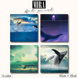 CeA G  Ǌ| A[gpl_ k  NW ~ _I V` Cm  _ C I[V F zI ₵ 񌻎 t@^W[ i` t@u