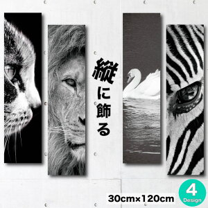 y3Ԍ聦 X |Cg10{I11/29`12/1܂ŁIzCeA G  A[gpl c _ mg[  mN G `  L Lbg  CI S