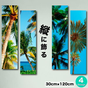 CeA G  A[gpl c C c _ G ʐ^ ` p[c[ V̖ 썑    nC JtHjA AJ ][g oJX R ₵ t@u